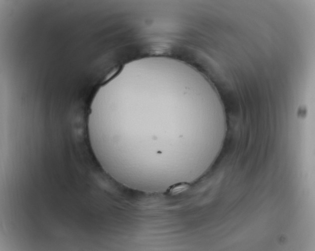 X0000102531442200808221854