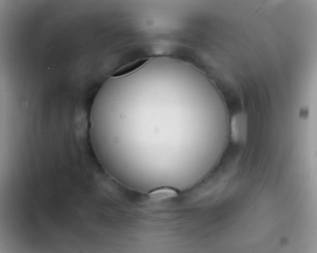 X0000102531443200808221854