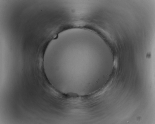 X0000102531444200808221854