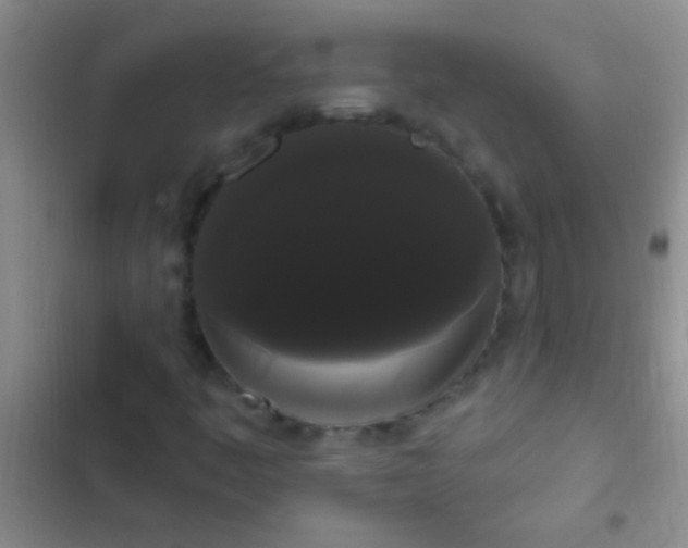 X0000102531445200808221854