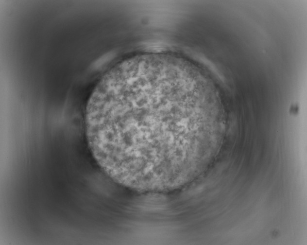 X0000102531446200808221854