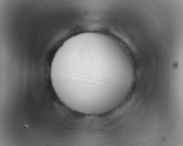 X0000102531447200808221854