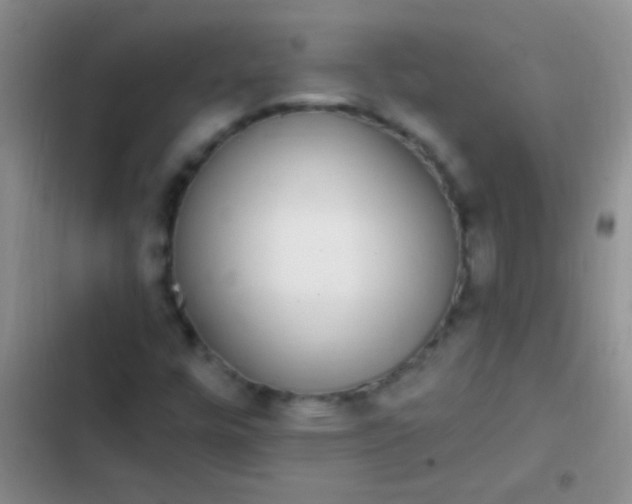 X0000102531448200808221854