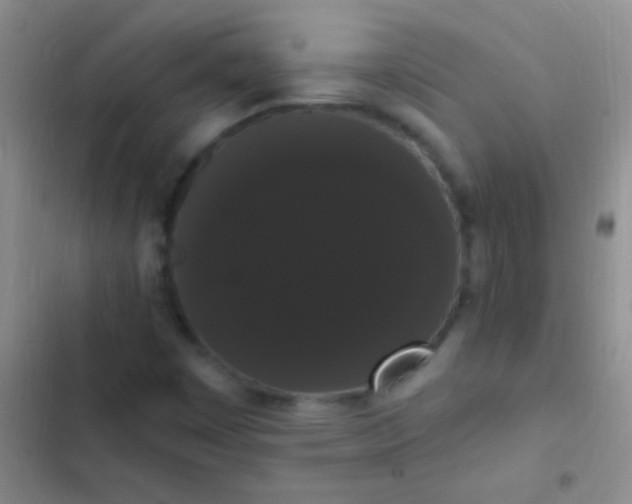 X0000102531449200808221854