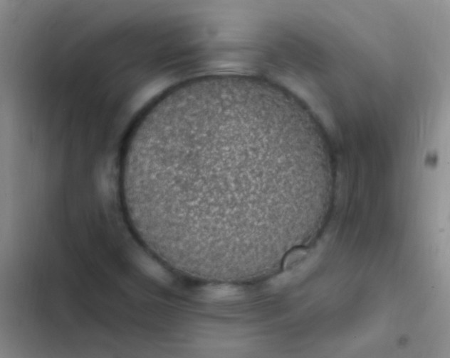 X0000102531450200808221854