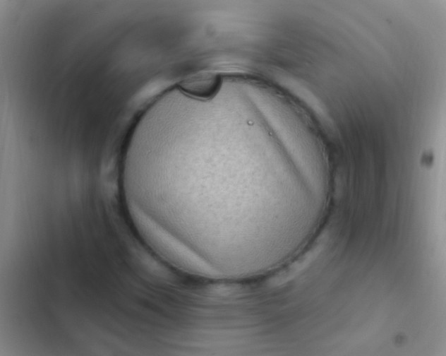 X0000102531451200808221854