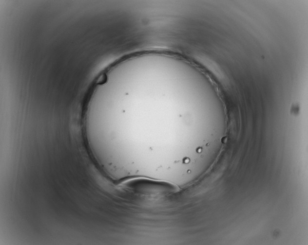 X0000102531452200808221854