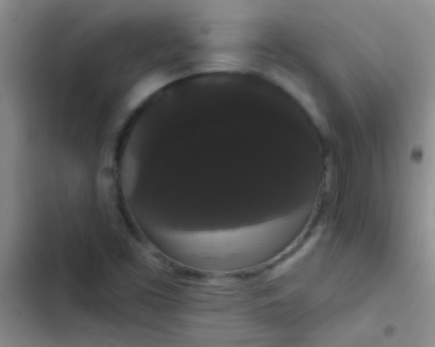 X0000102531453200808221854