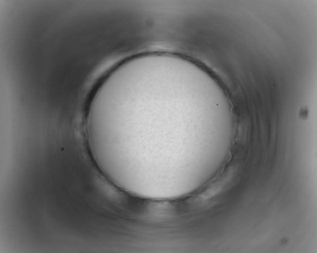 X0000102531454200808221854