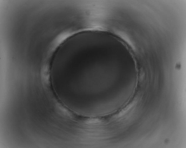 X0000102531455200808221854