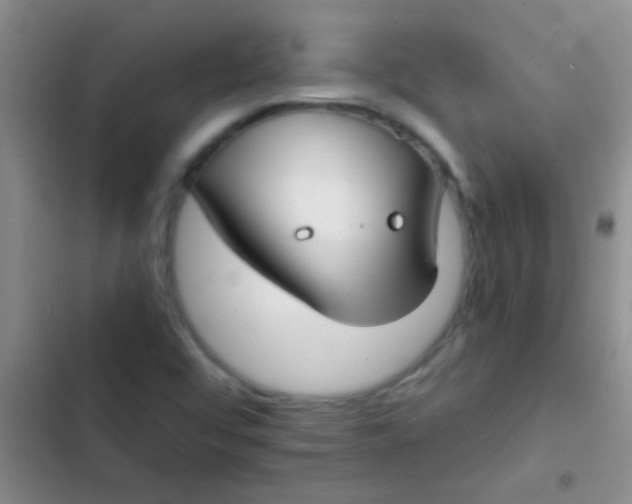 X0000102531456200808221854