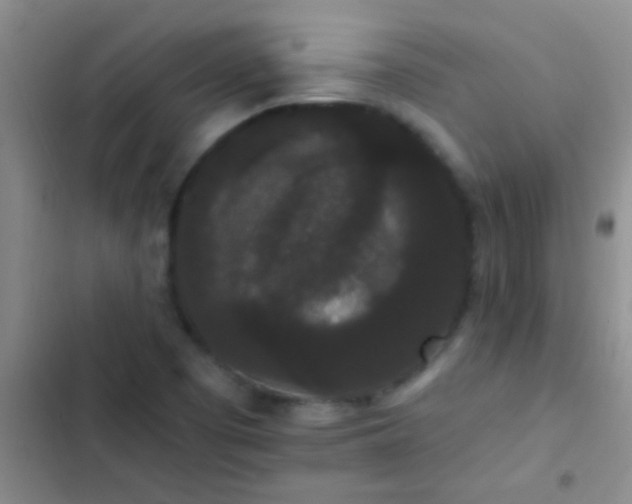 X0000102531457200808221854