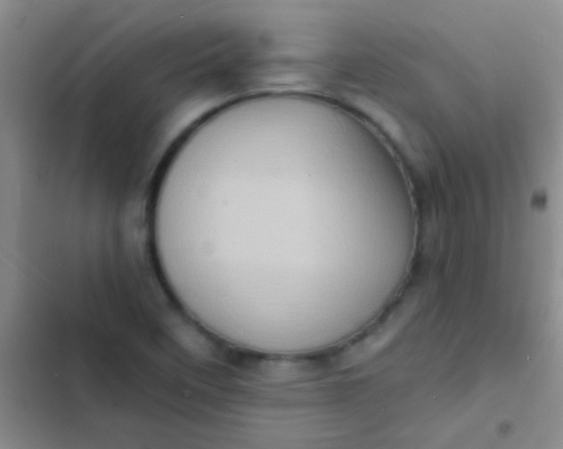 X0000102531458200808221854