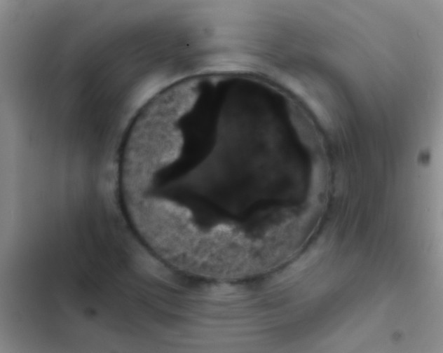 X0000102531459200808221854