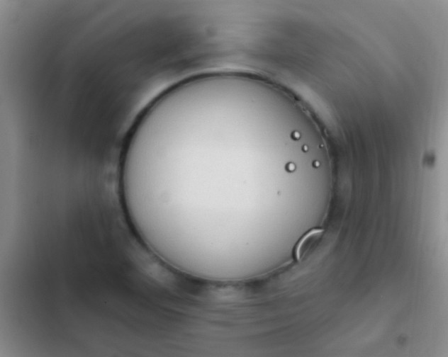 X0000102531460200808221854