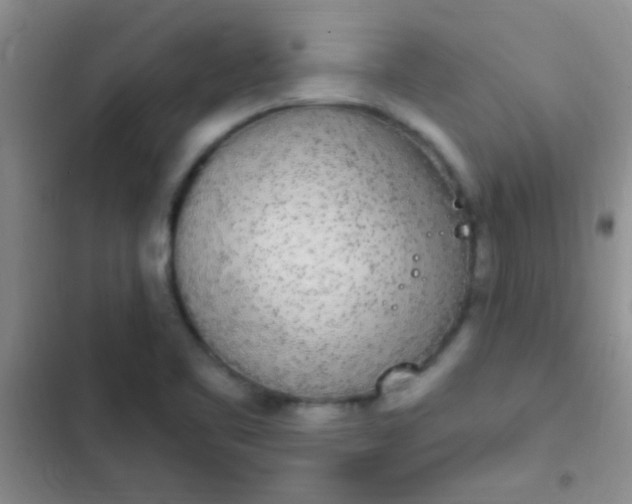 X0000102531461200808221854