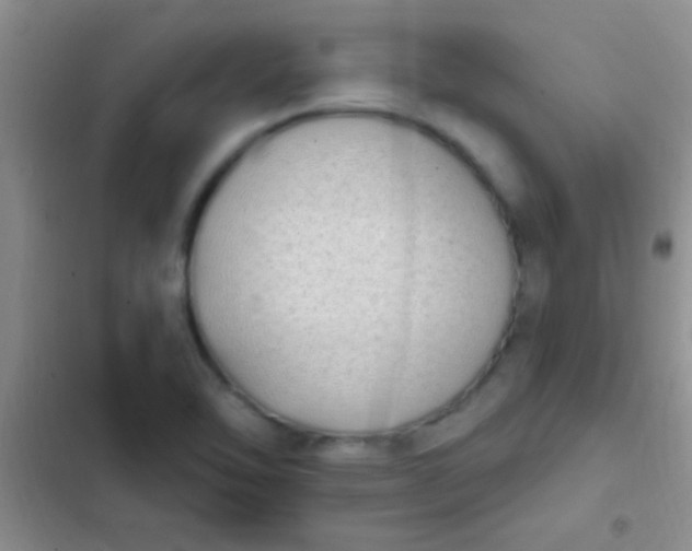 X0000102531462200808221854