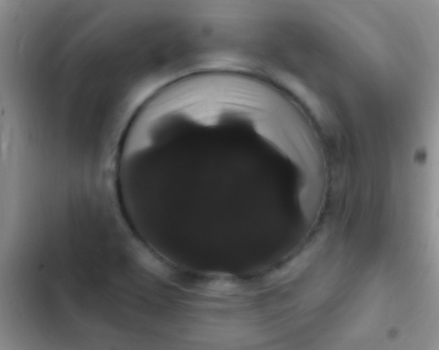 X0000102531463200808221854