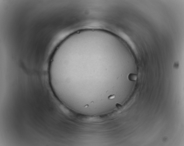 X0000102531464200808221854