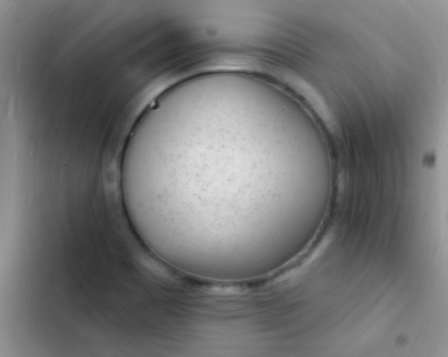 X0000102531465200808221854