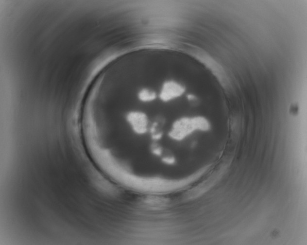 X0000102531466200808221854