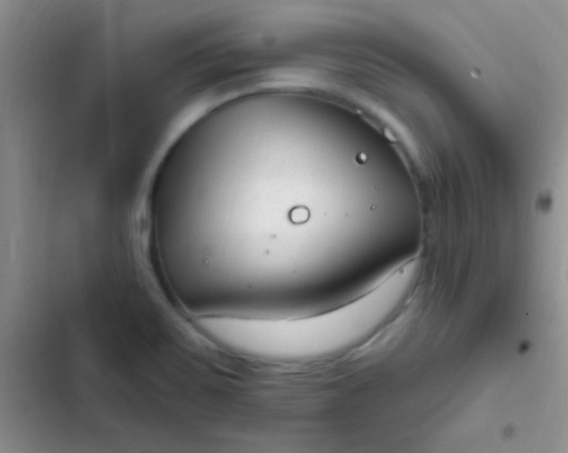 X0000102531467200808221854