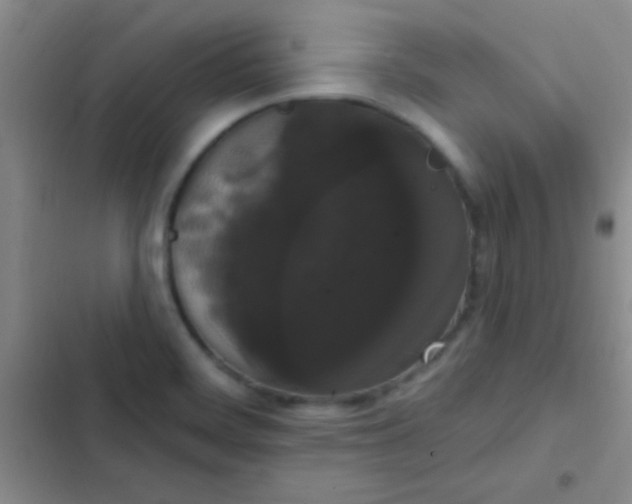 X0000102531468200808221854