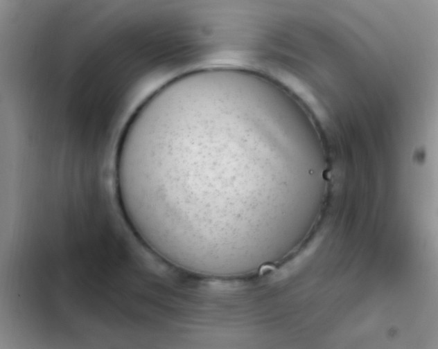 X0000102531469200808221854