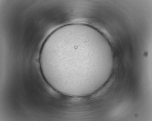 X0000102531470200808221854