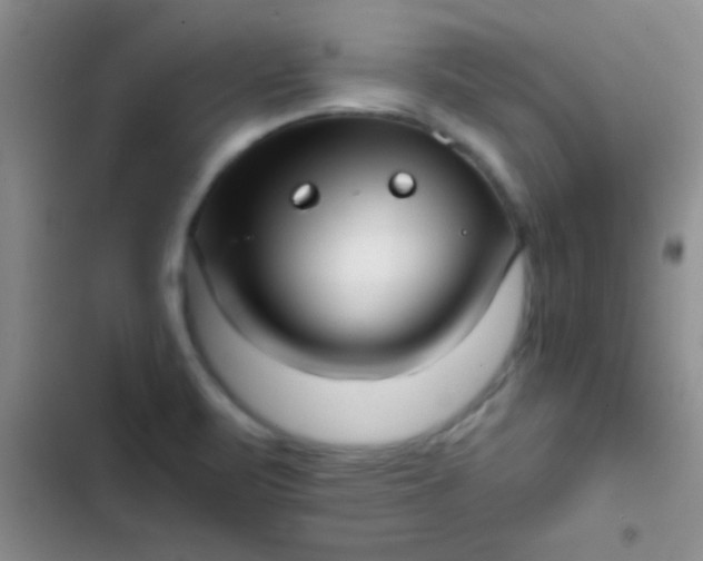 X0000102531471200808221854