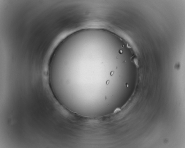 X0000102531472200808221854