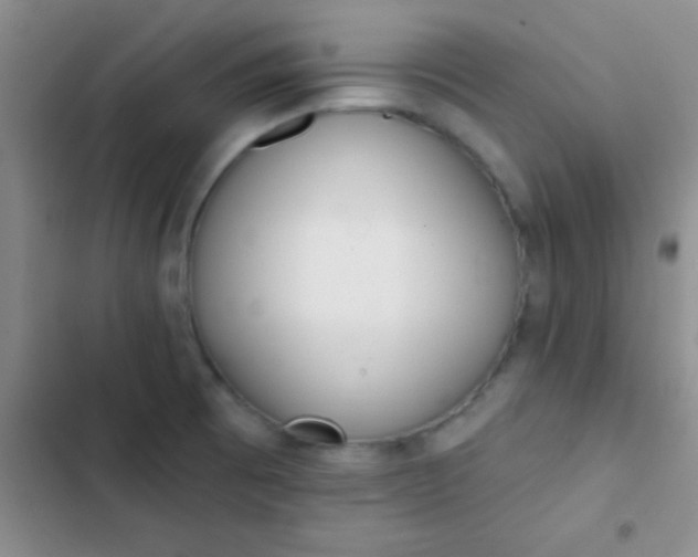 X0000102531473200808221854