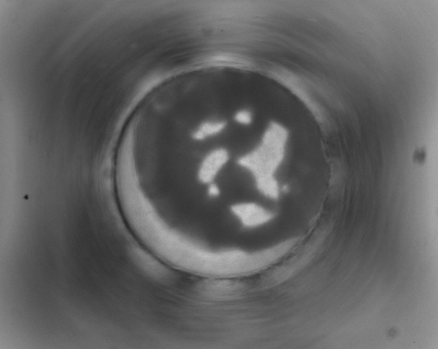 X0000102531474200808221854