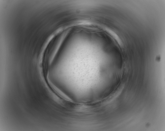 X0000102531475200808221854