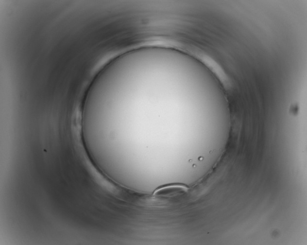 X0000102531476200808221854