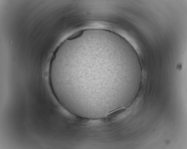 X0000102531477200808221854