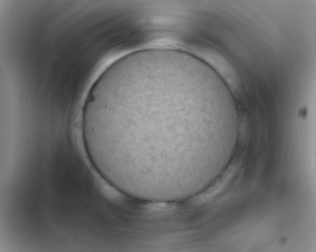 X0000102531478200808221854