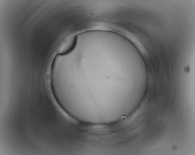 X0000102531479200808221854