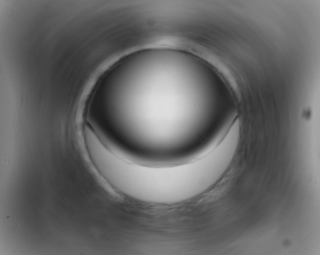 X0000102531480200808221854