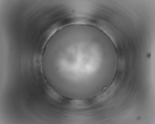 X0000102531481200808221854