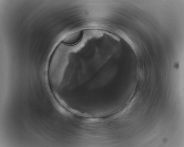 X0000102531482200808221854