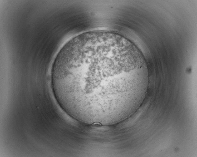 X0000102531483200808221854