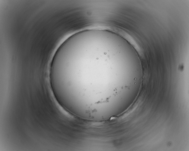 X0000102531484200808221854