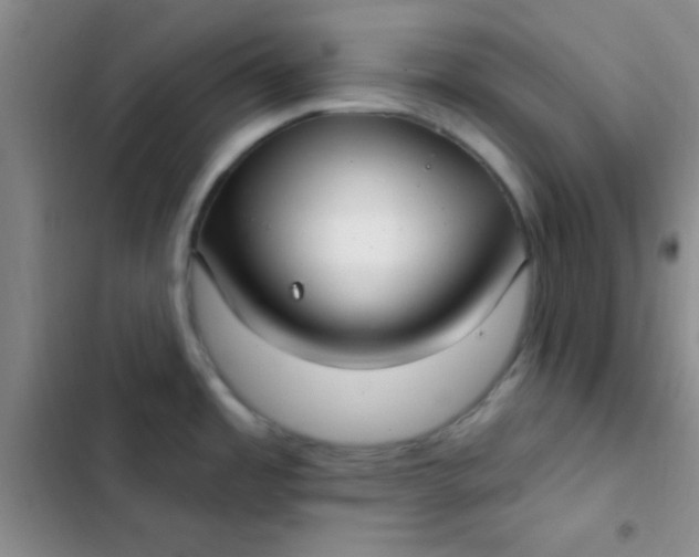 X0000102531485200808221854