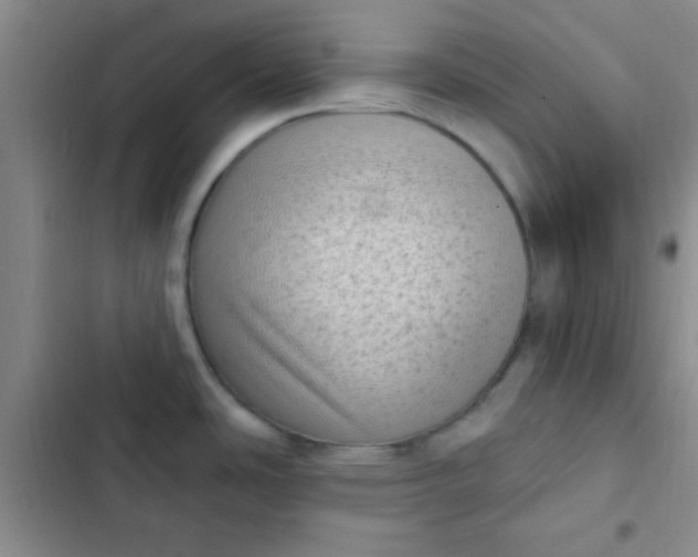 X0000102531486200808221854