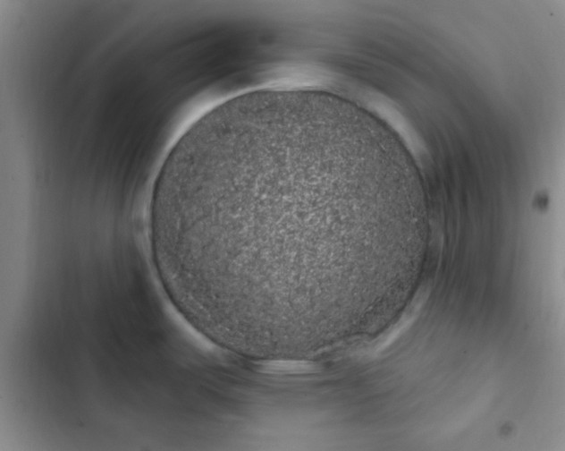 X0000102531487200808221854