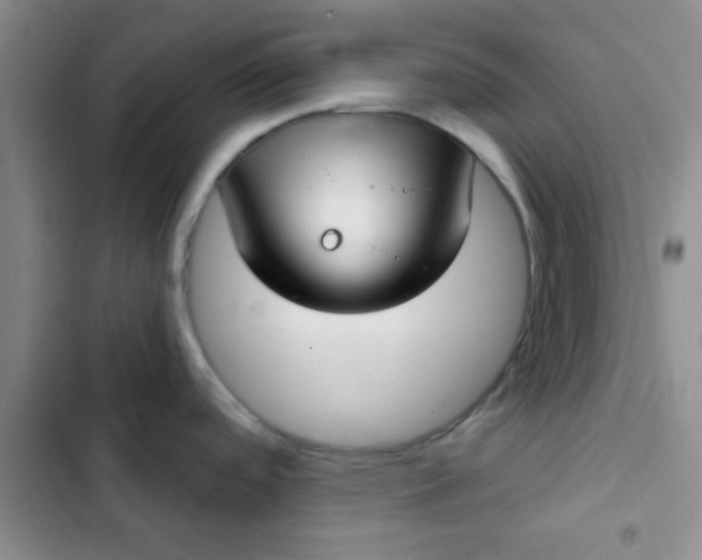 X0000102531488200808221854