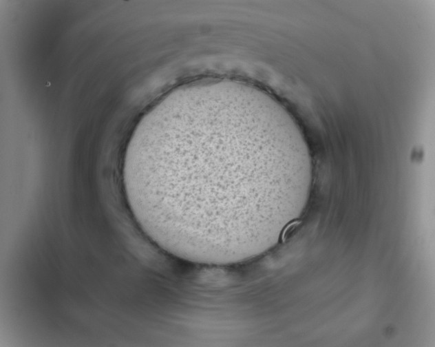 X0000102531489200808221853