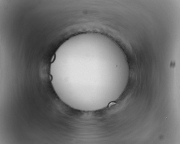 X0000102531490200808221853