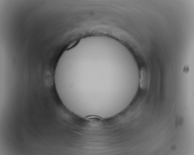 X0000102531491200808221853